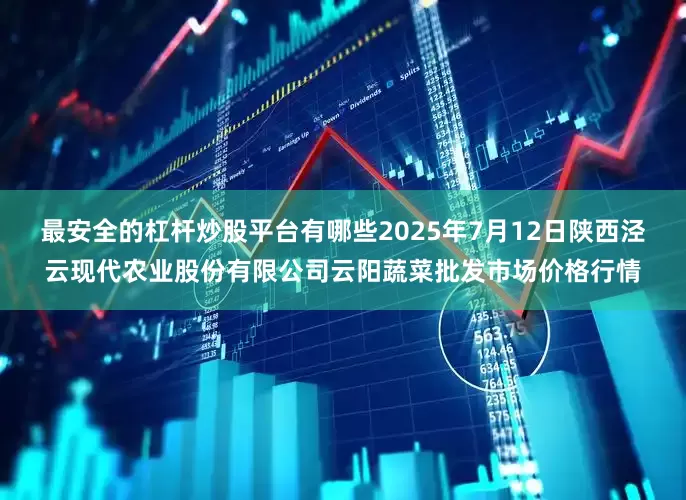 最安全的杠杆炒股平台有哪些2025年7月12日陕西泾云现代农业股份有限公司云阳蔬菜批发市场价格行情